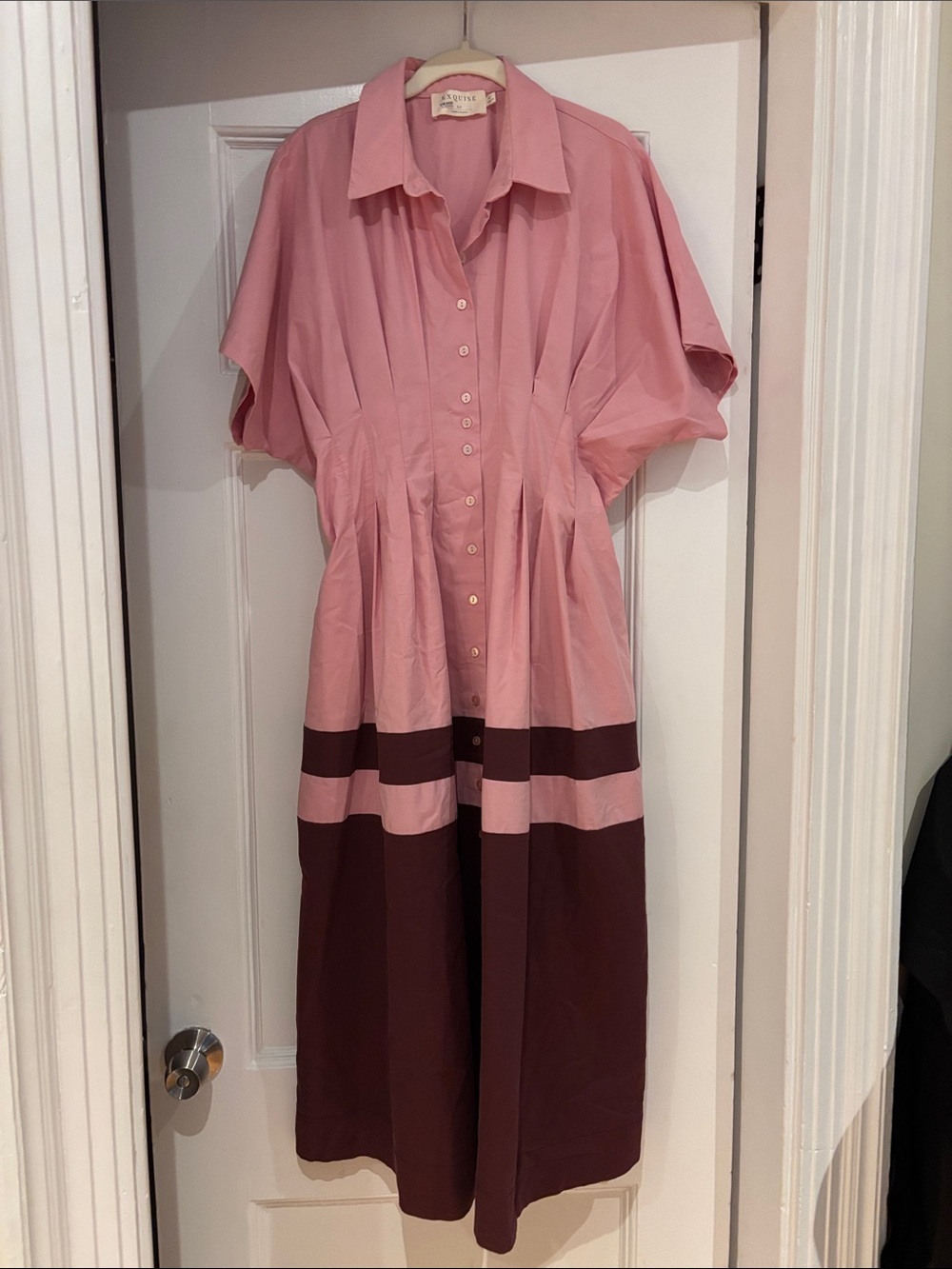 Exquise Tobie Button Front Pleated Shirt Dress